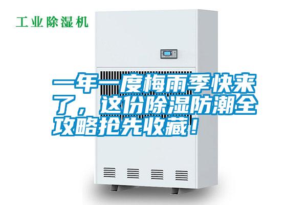 一年一度梅雨季快來了，這份除濕防潮全攻略搶先收藏！