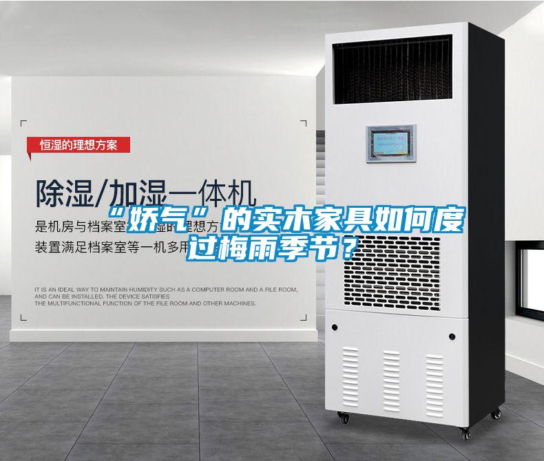 “嬌氣”的實木家具如何度過梅雨季節(jié)？