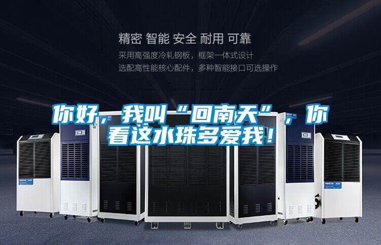 你好，我叫“回南天”，你看這水珠多愛我！