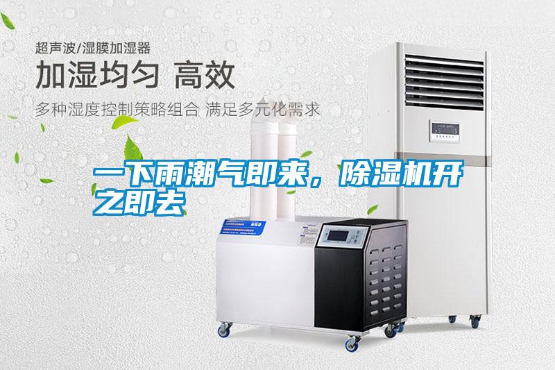 一下雨潮氣即來，除濕機(jī)開之即去
