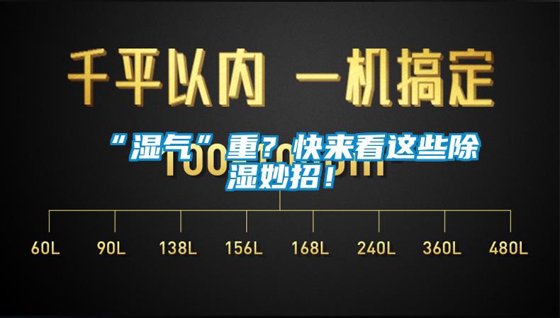 “濕氣”重？快來看這些除濕妙招！