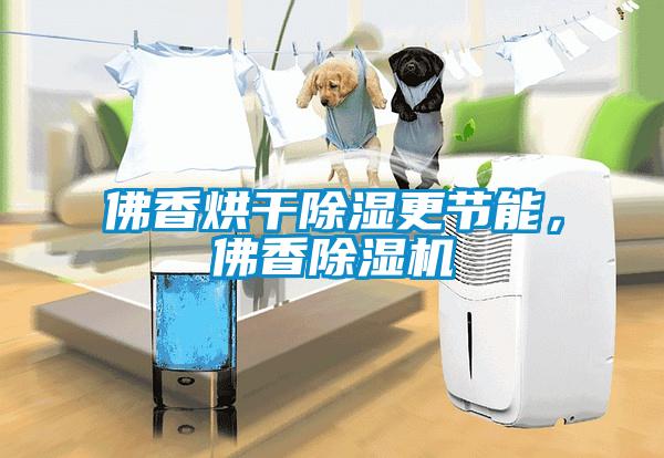佛香烘干除濕更節(jié)能，佛香除濕機