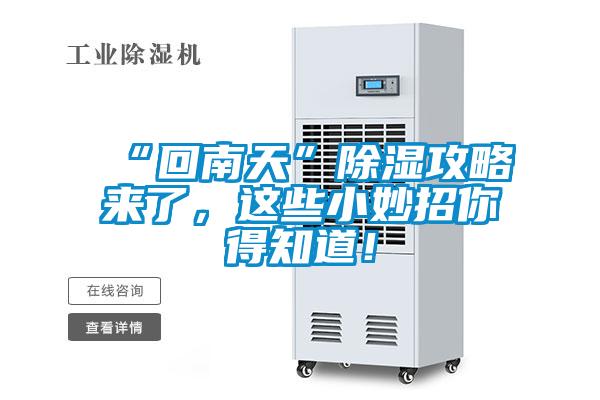 “回南天”除濕攻略來了，這些小妙招你得知道！