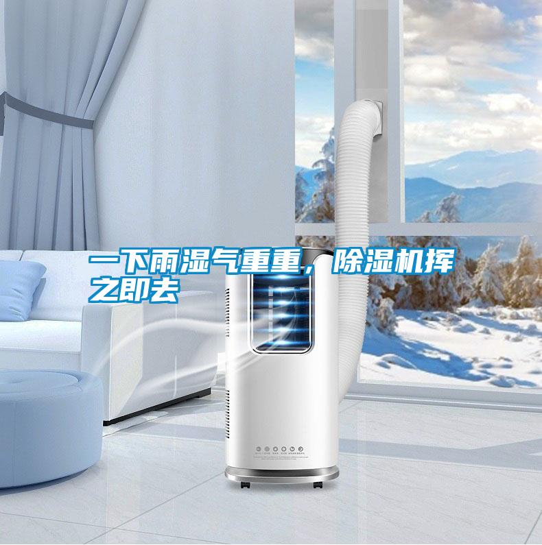 一下雨濕氣重重，除濕機(jī)揮之即去