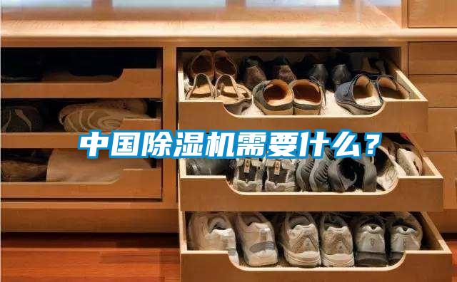 中國除濕機(jī)需要什么？