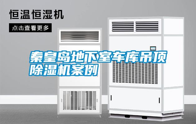 秦皇島地下室車(chē)庫(kù)吊頂除濕機(jī)案例
