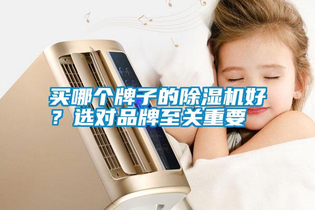 買哪個(gè)牌子的除濕機(jī)好？選對品牌至關(guān)重要