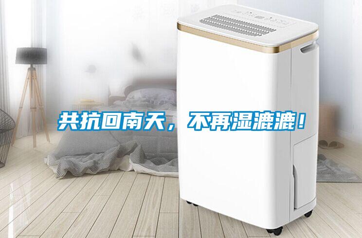 共抗回南天，不再濕漉漉！