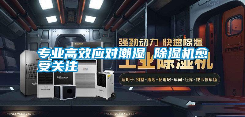 專(zhuān)業(yè)高效應(yīng)對(duì)潮濕 除濕機(jī)愈受關(guān)注