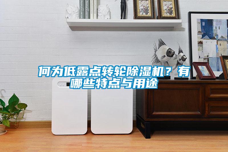 何為低露點轉(zhuǎn)輪除濕機？有哪些特點與用途