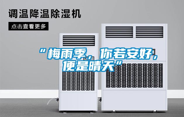 “梅雨季，你若安好，便是晴天”