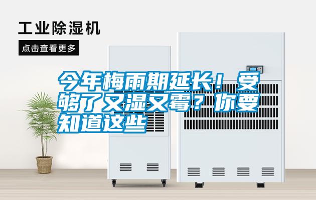 今年梅雨期延長(zhǎng)！受夠了又濕又霉？你要知道這些