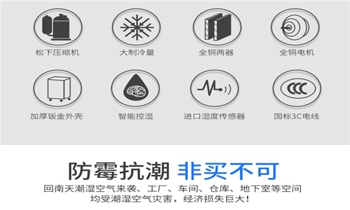 為什么房子潮濕會有危害？