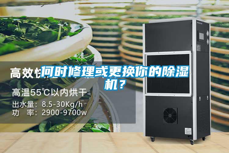 何時修理或更換你的除濕機？