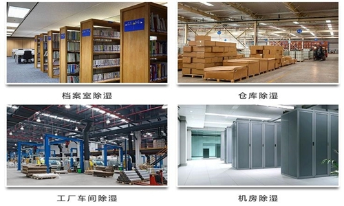 為什么竹筍烘干房需要除濕機(jī)？