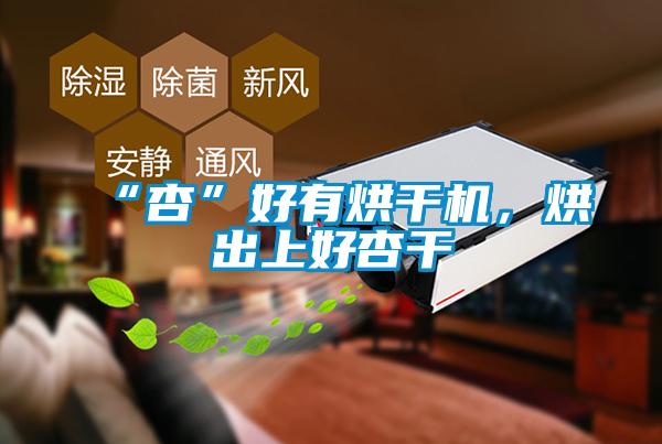 “杏”好有烘干機，烘出上好杏干