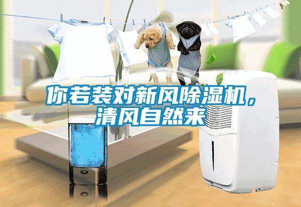 你若裝對新風除濕機，清風自然來