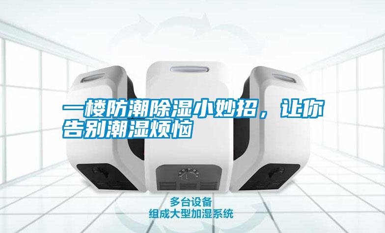 一樓防潮除濕小妙招，讓你告別潮濕煩惱