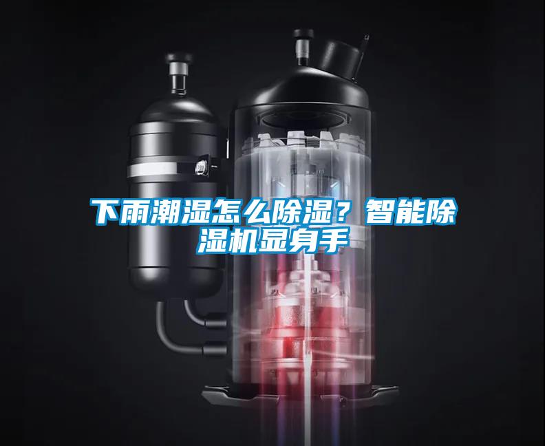 下雨潮濕怎么除濕？智能除濕機顯身手