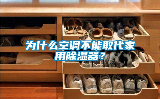 為什么空調(diào)不能取代家用除濕器？