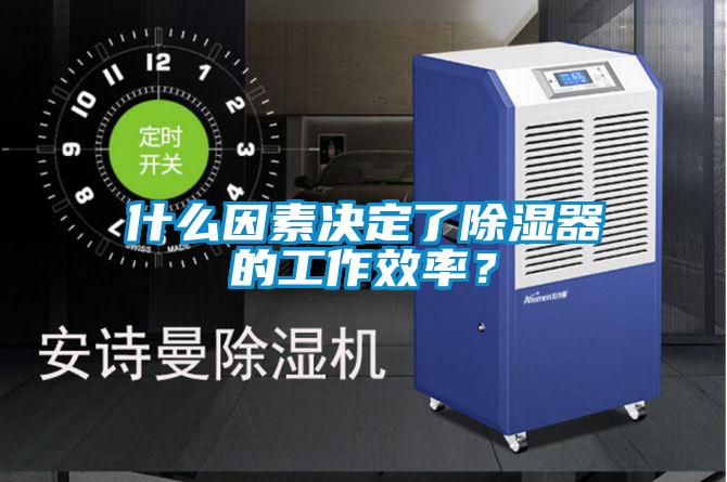 什么因素決定了除濕器的工作效率？