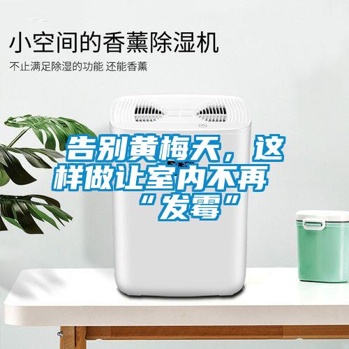 告別黃梅天，這樣做讓室內(nèi)不再“發(fā)霉”
