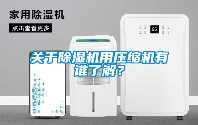 關(guān)于除濕機(jī)用壓縮機(jī)有誰了解？