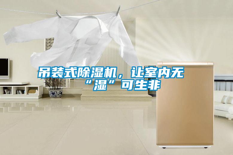 吊裝式除濕機，讓室內無“濕”可生非