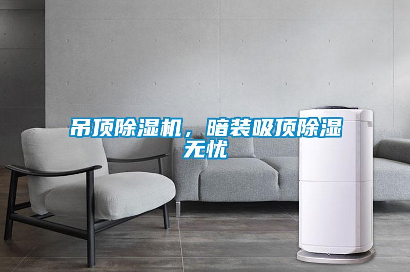 吊頂除濕機，暗裝吸頂除濕無憂