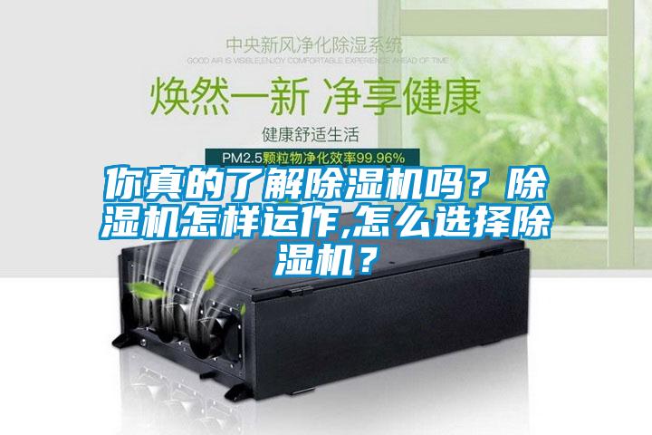 你真的了解除濕機(jī)嗎？除濕機(jī)怎樣運(yùn)作,怎么選擇除濕機(jī)？