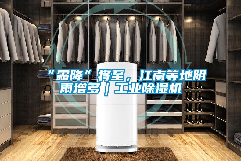 “霜降”將至，江南等地陰雨增多｜工業(yè)除濕機(jī)