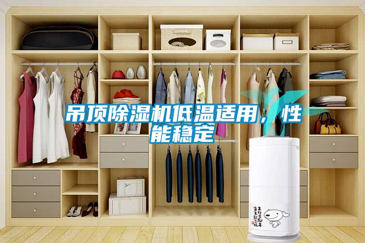 吊頂除濕機(jī)低溫適用，性能穩(wěn)定