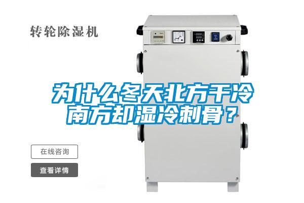 為什么冬天北方干冷南方卻濕冷刺骨？