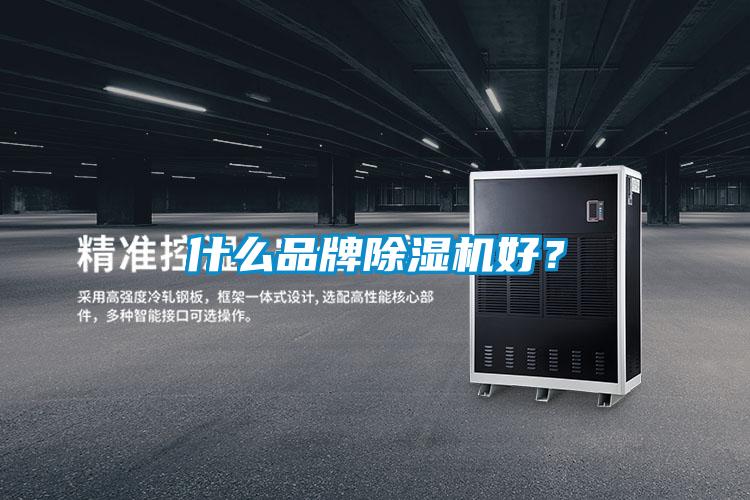 什么品牌除濕機(jī)好？