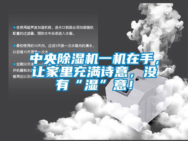中央除濕機(jī)一機(jī)在手，讓家里充滿詩(shī)意，沒(méi)有“濕”意！