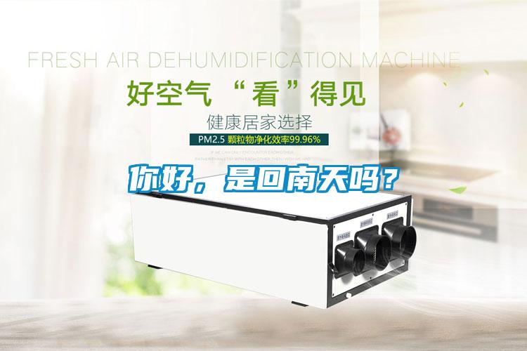 你好，是回南天嗎？