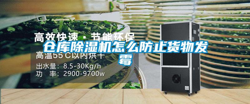 倉(cāng)庫(kù)除濕機(jī)怎么防止貨物發(fā)霉