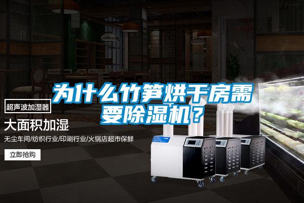 為什么竹筍烘干房需要除濕機？
