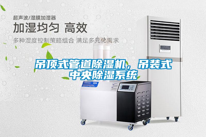 吊頂式管道除濕機，吊裝式中央除濕系統(tǒng)