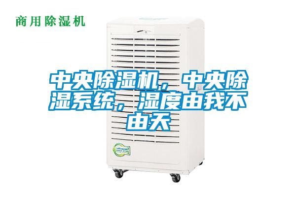 中央除濕機，中央除濕系統(tǒng)，濕度由我不由天