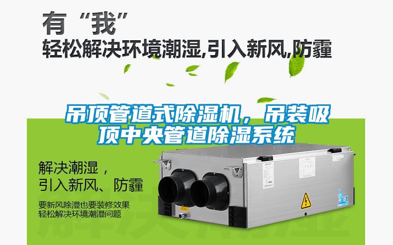 吊頂管道式除濕機(jī)，吊裝吸頂中央管道除濕系統(tǒng)
