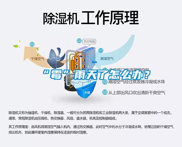 “霉”雨天了怎么辦？