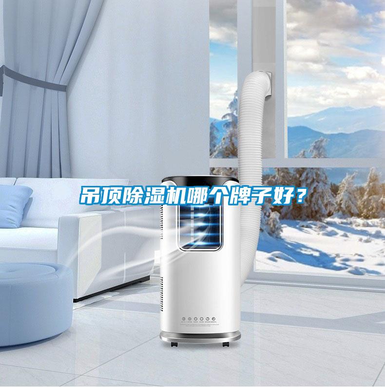 吊頂除濕機哪個牌子好？