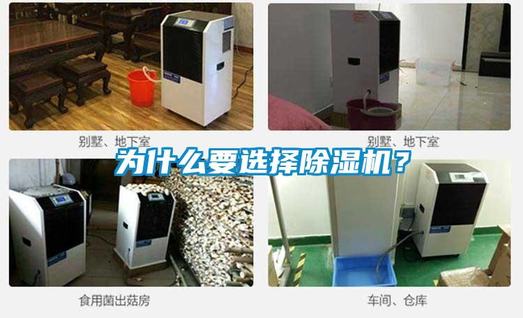 為什么要選擇除濕機？