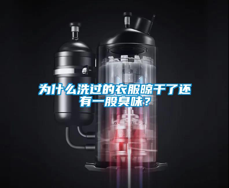 為什么洗過的衣服晾干了還有一股臭味？