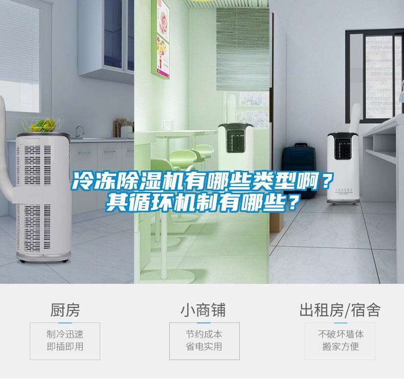 冷凍除濕機(jī)有哪些類型啊？其循環(huán)機(jī)制有哪些？
