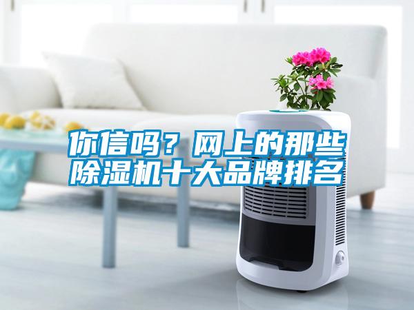你信嗎？網(wǎng)上的那些除濕機十大品牌排名