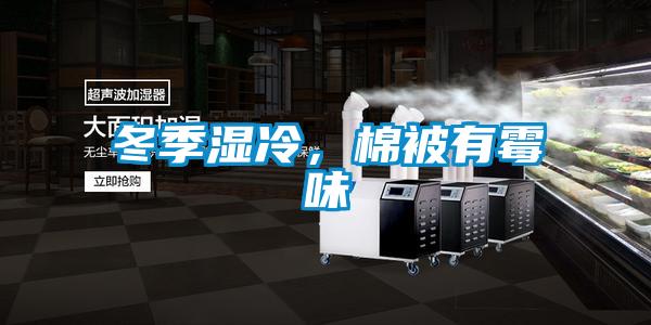 冬季濕冷，棉被有霉味