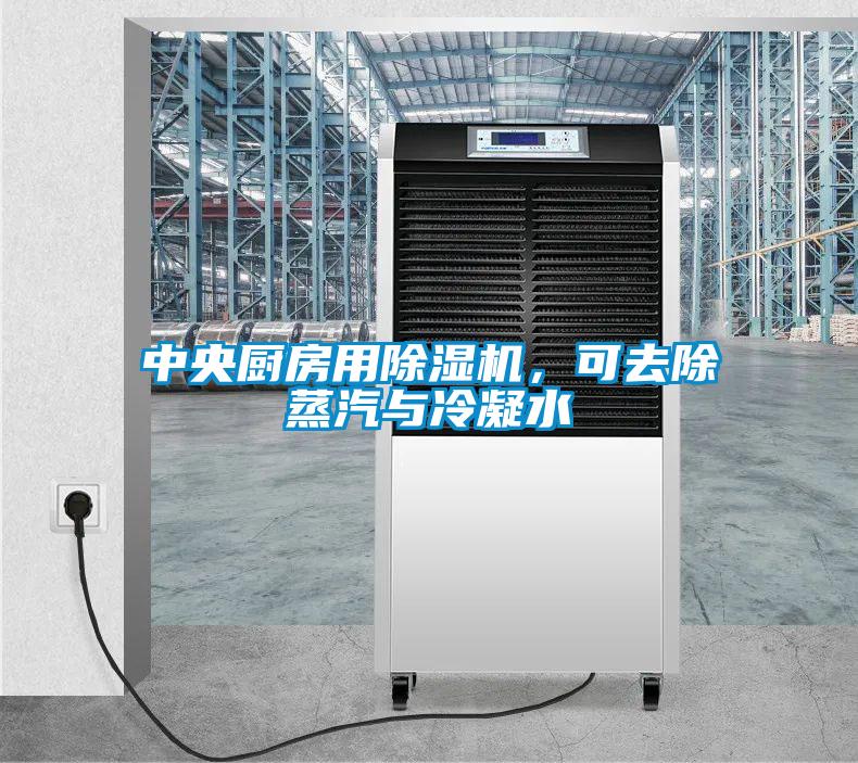 中央廚房用除濕機(jī)，可去除蒸汽與冷凝水