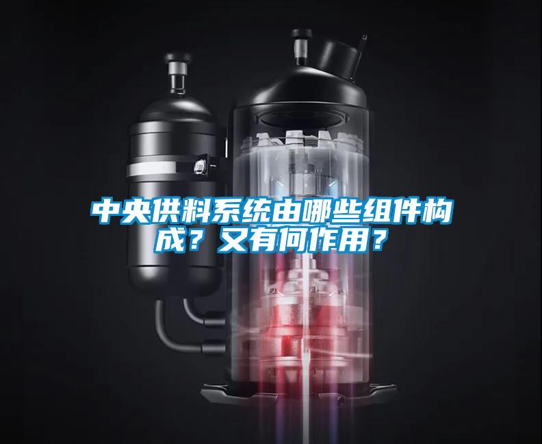 中央供料系統(tǒng)由哪些組件構(gòu)成？又有何作用？